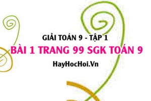 Giải bài 1 trang 99 SGK Toán 9 tập 1